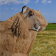 My Dear Sheep img